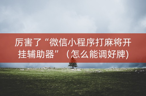 厉害了“微信小程序打麻将开挂辅助器”（怎么能调好牌)