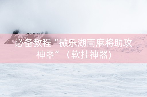 必备教程“微乐湖南麻将助攻神器”（软挂神器)