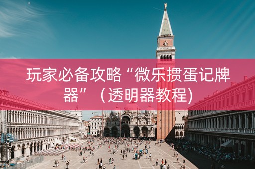 玩家必备攻略“微乐掼蛋记牌器”（透明器教程)