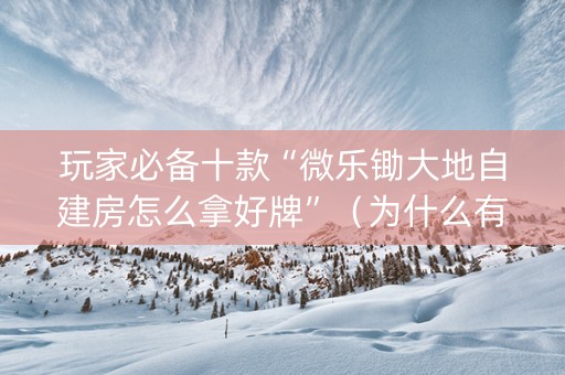 玩家必备十款“微乐锄大地自建房怎么拿好牌”（为什么有人一直赢)