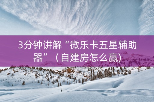 3分钟讲解“微乐卡五星辅助器”（自建房怎么赢)