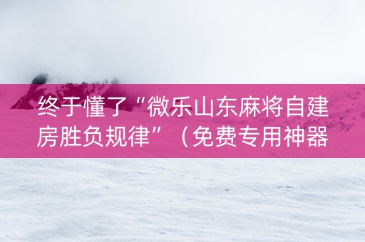 终于懂了“微乐山东麻将自建房胜负规律”（免费专用神器)