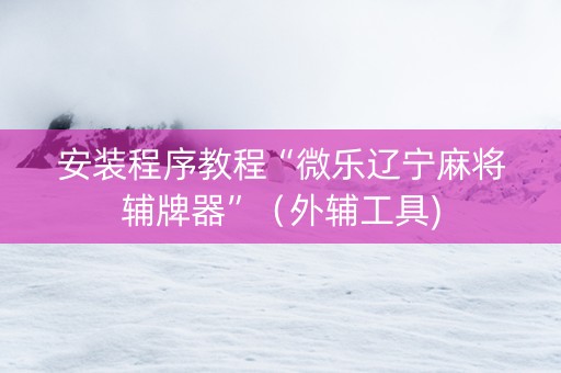 安装程序教程“微乐辽宁麻将辅牌器”（外辅工具)