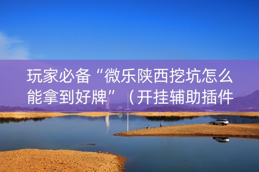 玩家必备“微乐陕西挖坑怎么能拿到好牌”（开挂辅助插件)