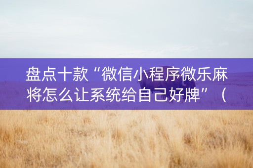 盘点十款“微信小程序微乐麻将怎么让系统给自己好牌”（开挂辅助插件)