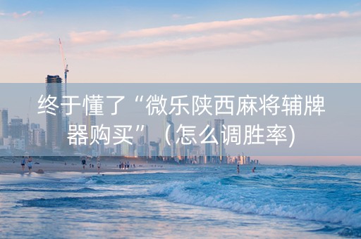 终于懂了“微乐陕西麻将辅牌器购买”（怎么调胜率)