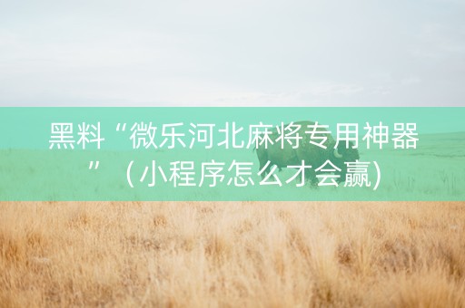 黑料“微乐河北麻将专用神器”（小程序怎么才会赢)
