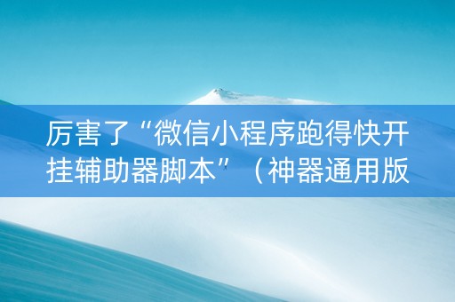 厉害了“微信小程序跑得快开挂辅助器脚本”（神器通用版)