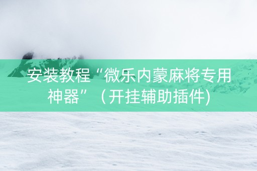 安装教程“微乐内蒙麻将专用神器”（开挂辅助插件)