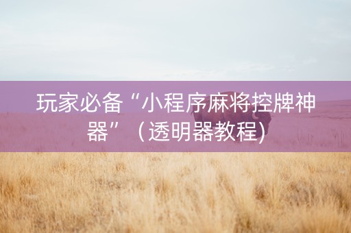 玩家必备“小程序麻将控牌神器”（透明器教程)