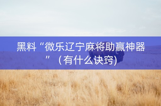 黑料“微乐辽宁麻将助赢神器”（有什么诀窍)