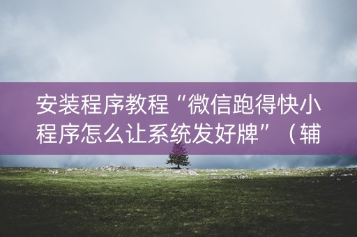 安装程序教程“微信跑得快小程序怎么让系统发好牌”（辅助器下载)