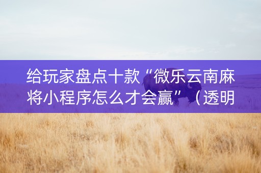 给玩家盘点十款“微乐云南麻将小程序怎么才会赢”（透明器教程)
