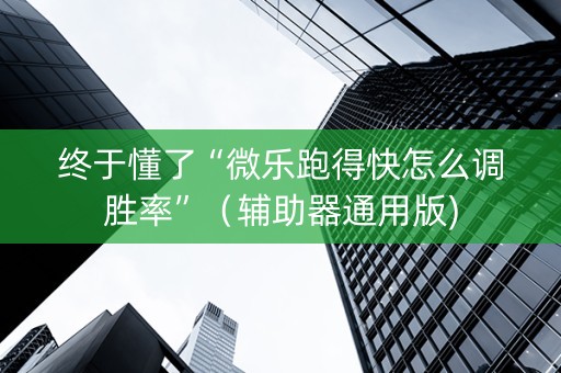 终于懂了“微乐跑得快怎么调胜率”（辅助器通用版)