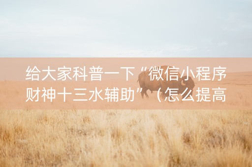 给大家科普一下“微信小程序财神十三水辅助”（怎么提高胜率)