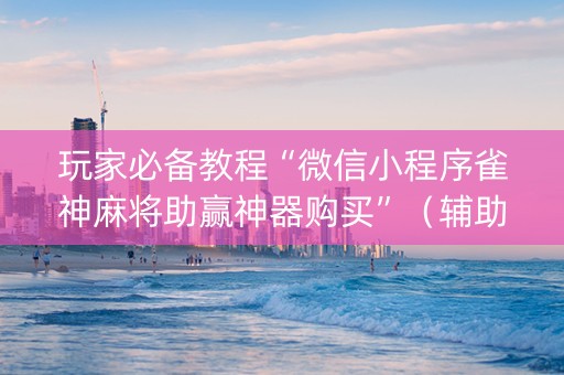 玩家必备教程“微信小程序雀神麻将助赢神器购买”（辅助器插件)