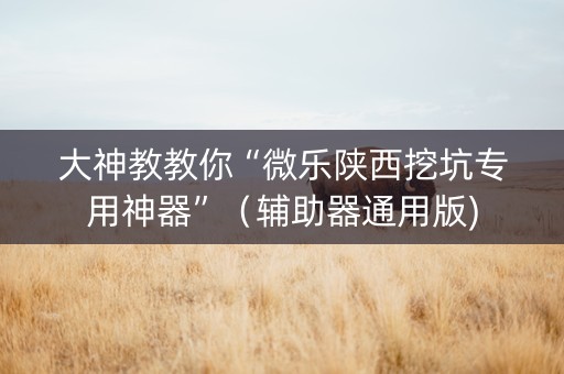 大神教教你“微乐陕西挖坑专用神器”（辅助器通用版)
