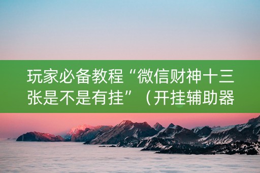玩家必备教程“微信财神十三张是不是有挂”（开挂辅助器插件)