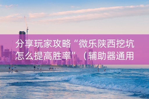 分享玩家攻略“微乐陕西挖坑怎么提高胜率”（辅助器通用版)