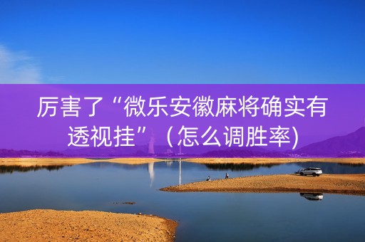 厉害了“微乐安徽麻将确实有透视挂”（怎么调胜率)