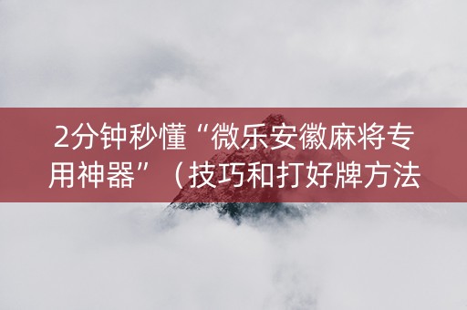 2分钟秒懂“微乐安徽麻将专用神器”（技巧和打好牌方法)