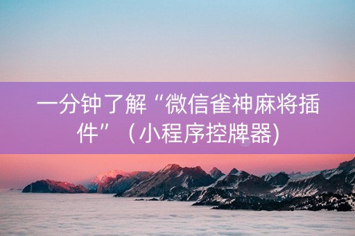 一分钟了解“微信雀神麻将插件”（小程序控牌器)