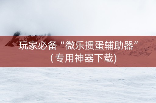 玩家必备“微乐掼蛋辅助器”（专用神器下载)