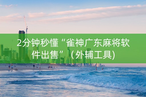 2分钟秒懂“雀神广东麻将软件出售”（外辅工具)
