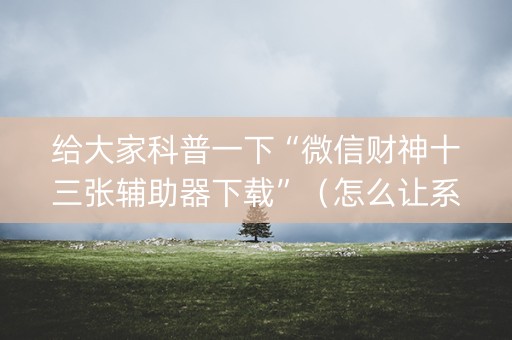 给大家科普一下“微信财神十三张辅助器下载”（怎么让系统给你发好牌)