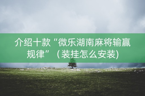 介绍十款“微乐湖南麻将输赢规律”（装挂怎么安装)
