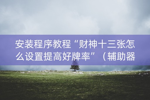 安装程序教程“财神十三张怎么设置提高好牌率”（辅助器插件)