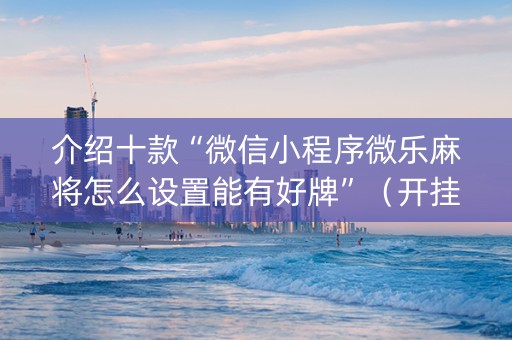 介绍十款“微信小程序微乐麻将怎么设置能有好牌”（开挂神器下载)
