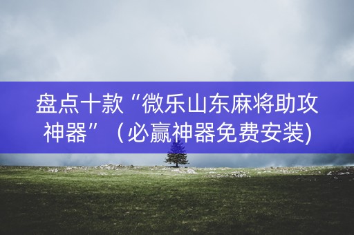 盘点十款“微乐山东麻将助攻神器”（必赢神器免费安装)