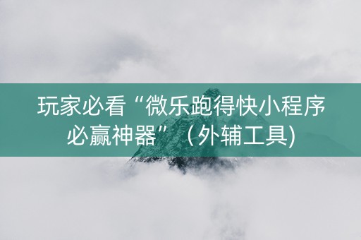 玩家必看“微乐跑得快小程序必赢神器”（外辅工具)