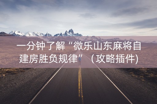 一分钟了解“微乐山东麻将自建房胜负规律”（攻略插件)