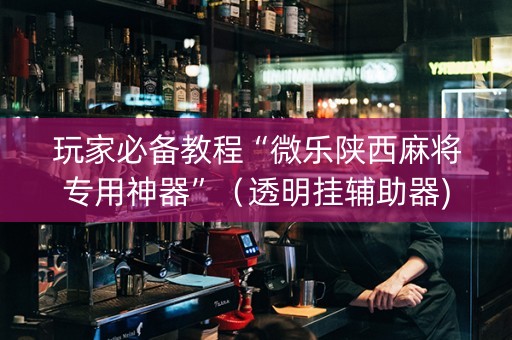 玩家必备教程“微乐陕西麻将专用神器”（透明挂辅助器)