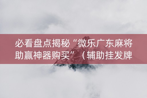 必看盘点揭秘“微乐广东麻将助赢神器购买”（辅助挂发牌规律)