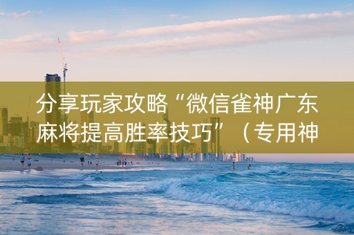 分享玩家攻略“微信雀神广东麻将提高胜率技巧”（专用神器)