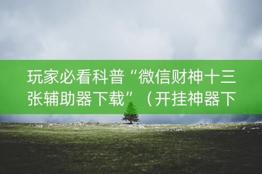 玩家必看科普“微信财神十三张辅助器下载”（开挂神器下载)