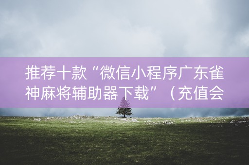 推荐十款“微信小程序广东雀神麻将辅助器下载”（充值会提高胜率么)