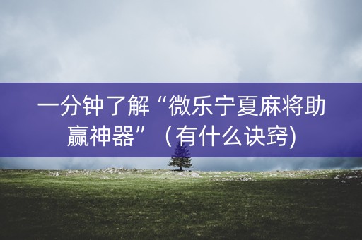 一分钟了解“微乐宁夏麻将助赢神器”（有什么诀窍)