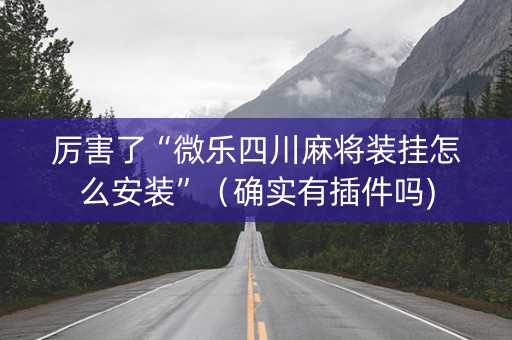 厉害了“微乐四川麻将装挂怎么安装”（确实有插件吗)