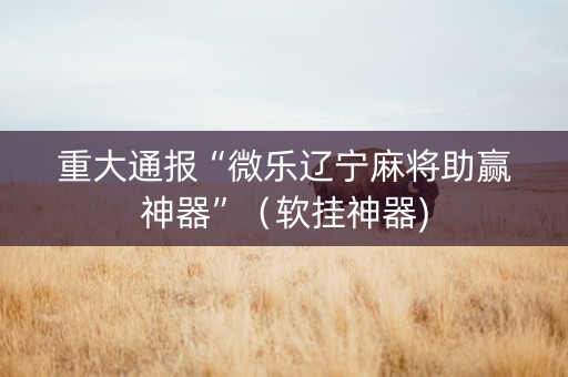 重大通报“微乐辽宁麻将助赢神器”（软挂神器)
