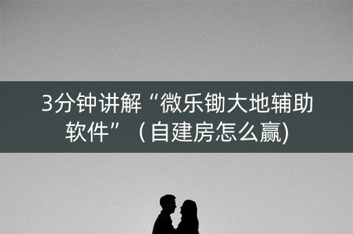3分钟讲解“微乐锄大地辅助软件”（自建房怎么赢)