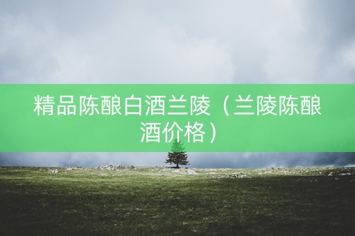 精品陈酿白酒兰陵（兰陵陈酿酒价格）