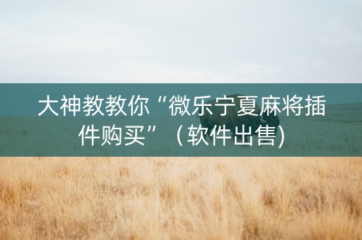 大神教教你“微乐宁夏麻将插件购买”（软件出售)