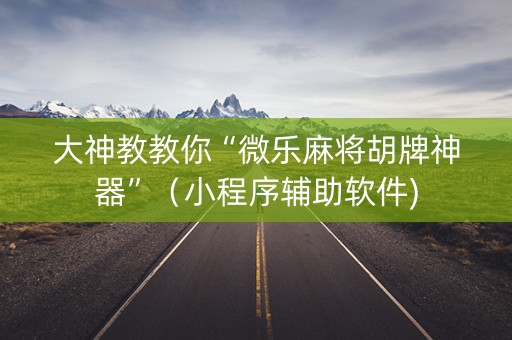 大神教教你“微乐麻将胡牌神器”（小程序辅助软件)