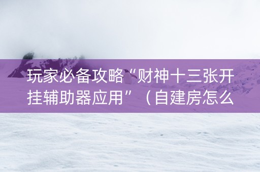 玩家必备攻略“财神十三张开挂辅助器应用”（自建房怎么赢)