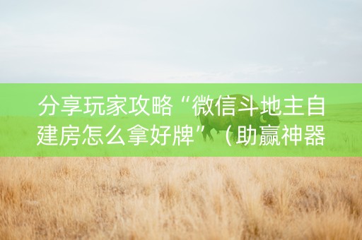 分享玩家攻略“微信斗地主自建房怎么拿好牌”（助赢神器购买)