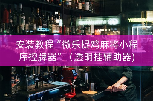 安装教程“微乐捉鸡麻将小程序控牌器”（透明挂辅助器)
